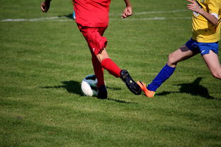 乐鱼官网入口-拳击国家队备战亚运 实施精英训练计划，拳击亚军奖杯照片