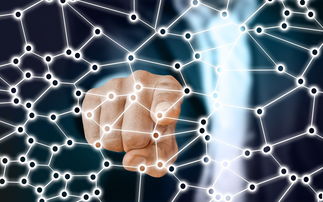 中国足球青训梯队人员年龄层结构，足球青训年龄段